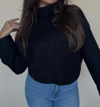 Chunky Turtleneck Sweater in Black