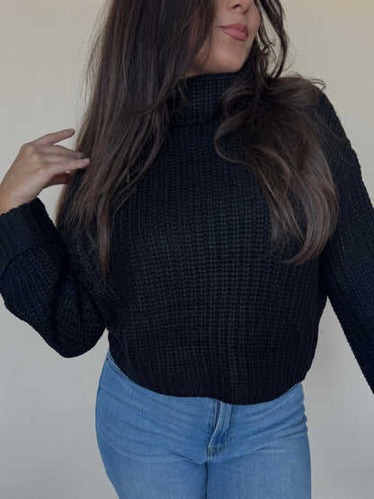 Chunky Turtleneck Sweater in Black